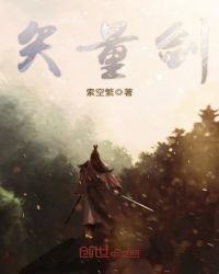 矢量剑章节列表