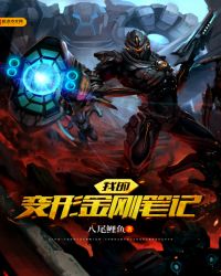 我的变形金刚笔记章节列表