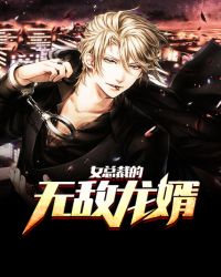 女总裁的无敌龙婿章节列表