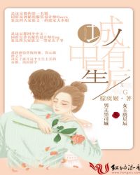 城中有星辰章节列表