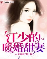 江少的暖婚甜妻章节列表