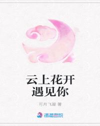 云上花开遇见你章节列表