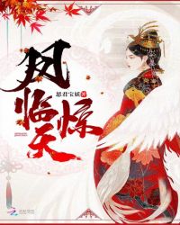 凤临惊天章节列表