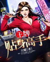 王牌贴身高手章节列表