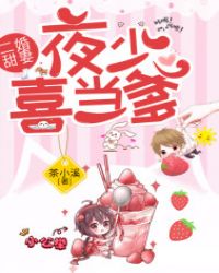 二婚甜妻，夜少喜当爹章节列表