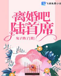 离婚吧，陆首席章节列表