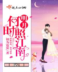 明月何时照江南章节列表
