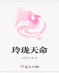 玲珑天命章节列表