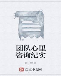 团队心里咨询纪实章节列表
