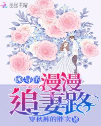 顾导的漫漫追妻路章节列表