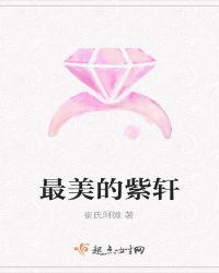 最美的紫轩章节列表