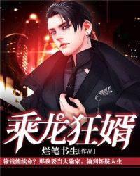 乘龙狂婿章节列表