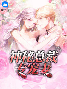 神秘总裁专宠妻章节列表