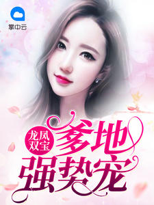 龙凤双宝：爹地强势宠章节列表
