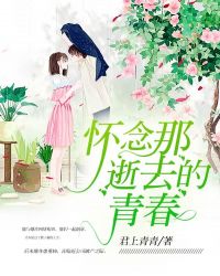 怀念那逝去的青春章节列表