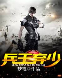 兵王弃少章节列表