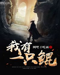 我有一只鲲章节列表