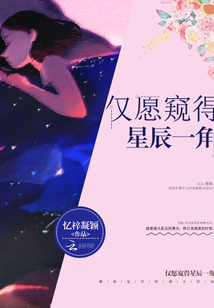 仅愿窥得星辰一角章节列表