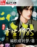 重生一九八五章节列表
