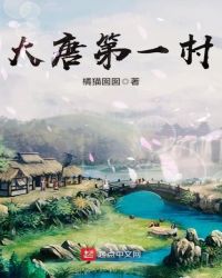 大唐第一村章节列表