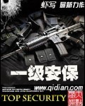 一级安保章节列表