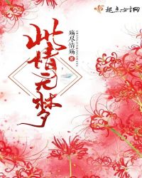 此情无梦章节列表