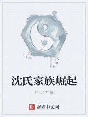 沈氏家族崛起章节列表