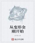 从变形金刚开始章节列表