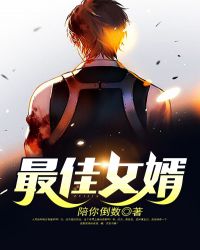 最佳赘婿章节列表