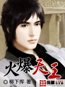 火爆天王章节列表