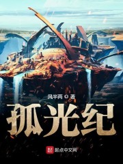 孤光纪章节列表