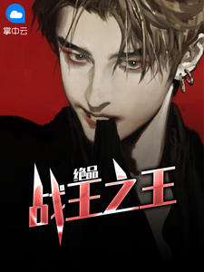 南天苏婉心章节列表