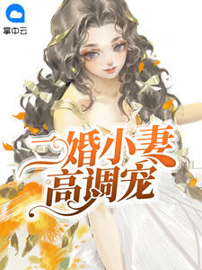二婚小妻高调宠章节列表