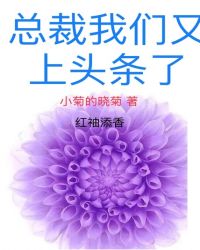 总裁我们又上头条了章节列表