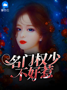 名门权少不好惹章节列表