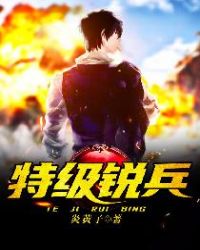 特级锐兵章节列表