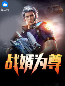 战婿为尊章节列表