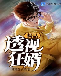 极品透视狂婿章节列表