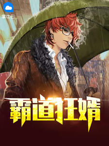 霸道狂婿章节列表