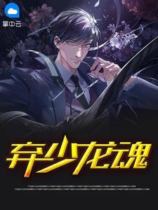 弃少龙魂章节列表