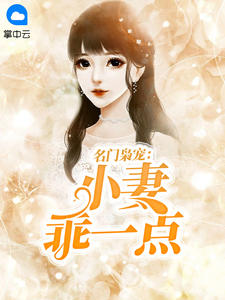 名门枭宠：小妻乖一点章节列表