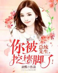 总统先生，你被挖墙脚了！章节列表