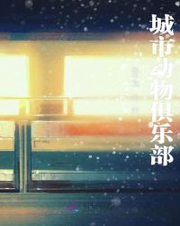 城市动物俱乐部章节列表