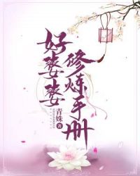 快穿之好婆婆修炼手册章节列表