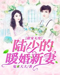 甜宠无度， 陆少的暖婚新妻章节列表