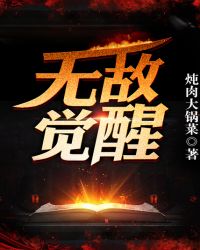 无敌觉醒章节列表