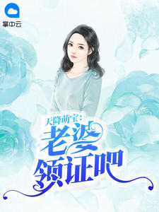 苏叶慕承瑾章节列表