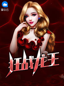 聂风苏倾城章节列表