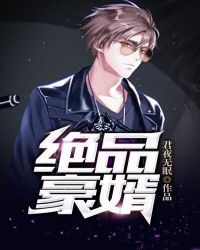 绝品豪婿章节列表