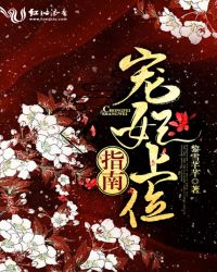 宠妃上位指南章节列表